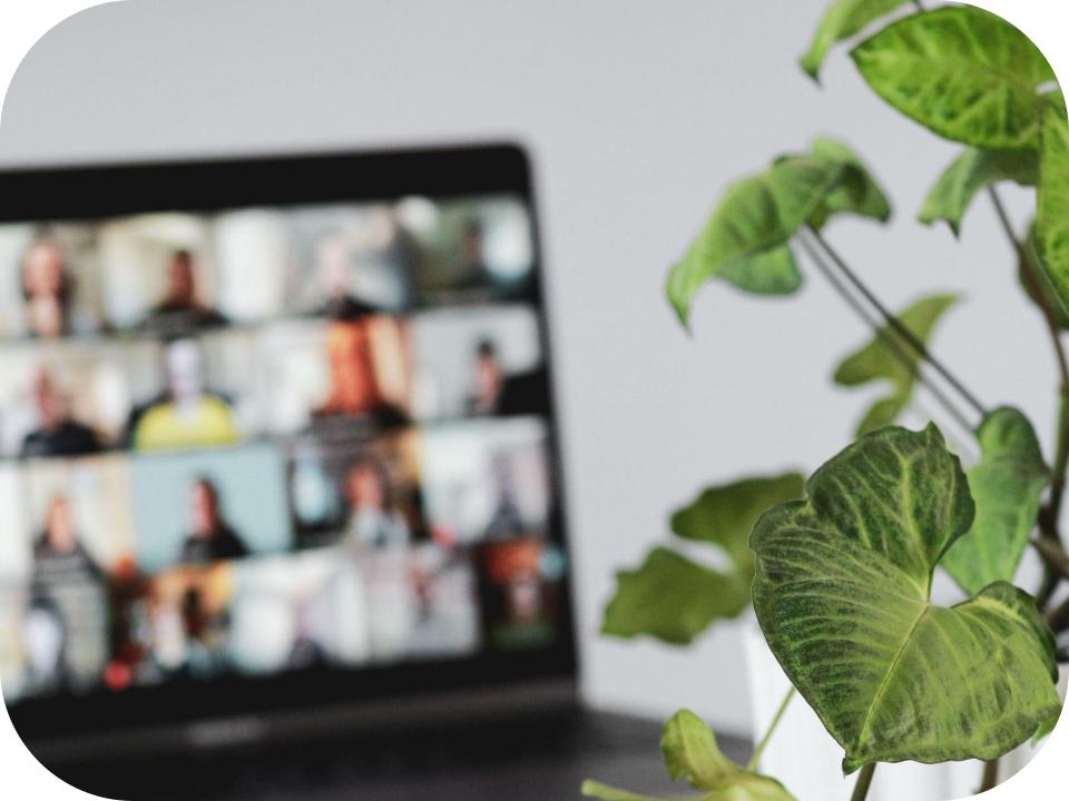 Computer Screen with plant in the background Picture